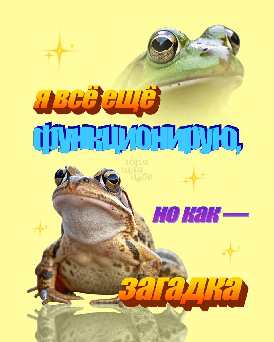 легущка подружка tweet media