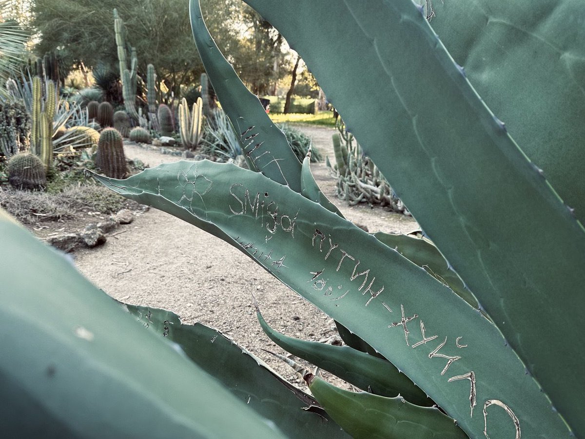 В моем любимом месте Стэнфорда довольно точно сформулирован ответ на любой актуальный вопрос.