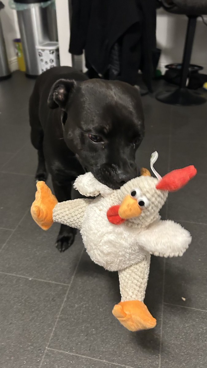 Baby Frank & his teddy, Edward 🧸🏴 tweet media