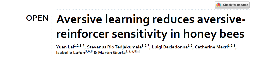 See our last work on the effect of learning on how bees respond to the unconditioned stimulus (US) after learning! We show that learning changes not only conditioned-stimulus processing but also US processing. 
A wonderful work by Yuan Lai et al.  doi.org/10.1038/s41598…