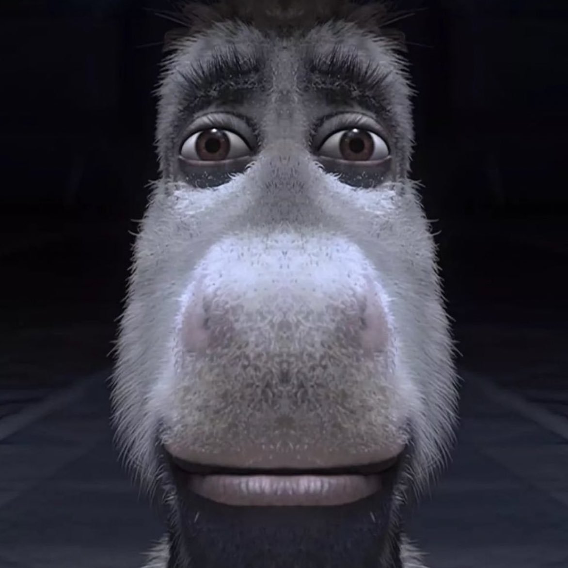 starvxv's tweet photo. @Shrek Weeeeeeyyy no chinguen que tipo de animacion es esa!! https://t.co/q7AgtXwAu3
