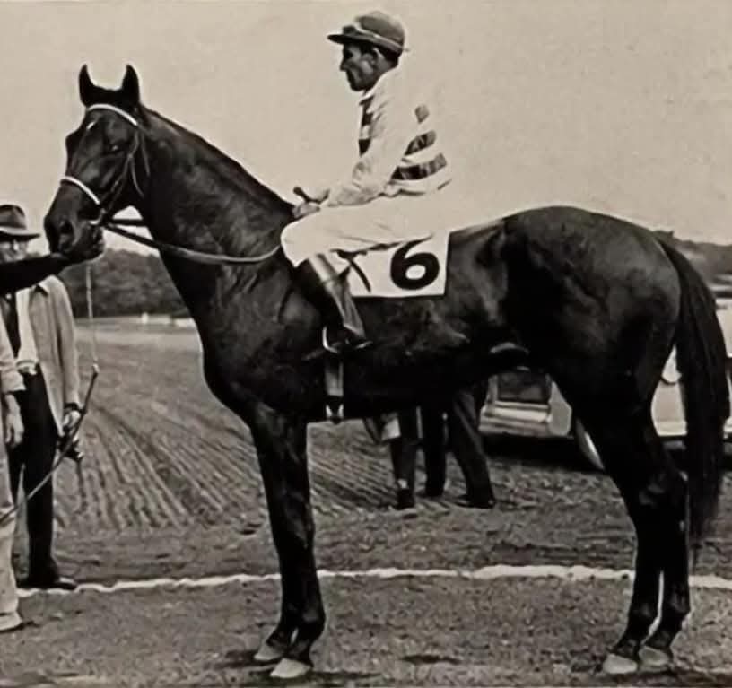 HORSERACING1002's tweet photo. BLUE BORDER🇺🇸1944
(BIMELECH - BLADE OF TIME BY SICKLE)#BlueBorder
B/Idle Hour Stock Farm (Ky)🇺🇸1944. Gelding
O/ Bradley, Greentree Stable, Morton.
98-15-17-19---$149,485
Hopeful S, Grand Union Hotel H, Shevlin S, Palm Beach H.
2nd Seminole H.
3rd Fall Highweight H, Pacific H.
NTR Saratoga 6f 1,09,⅗
Died Feb 7, 1953