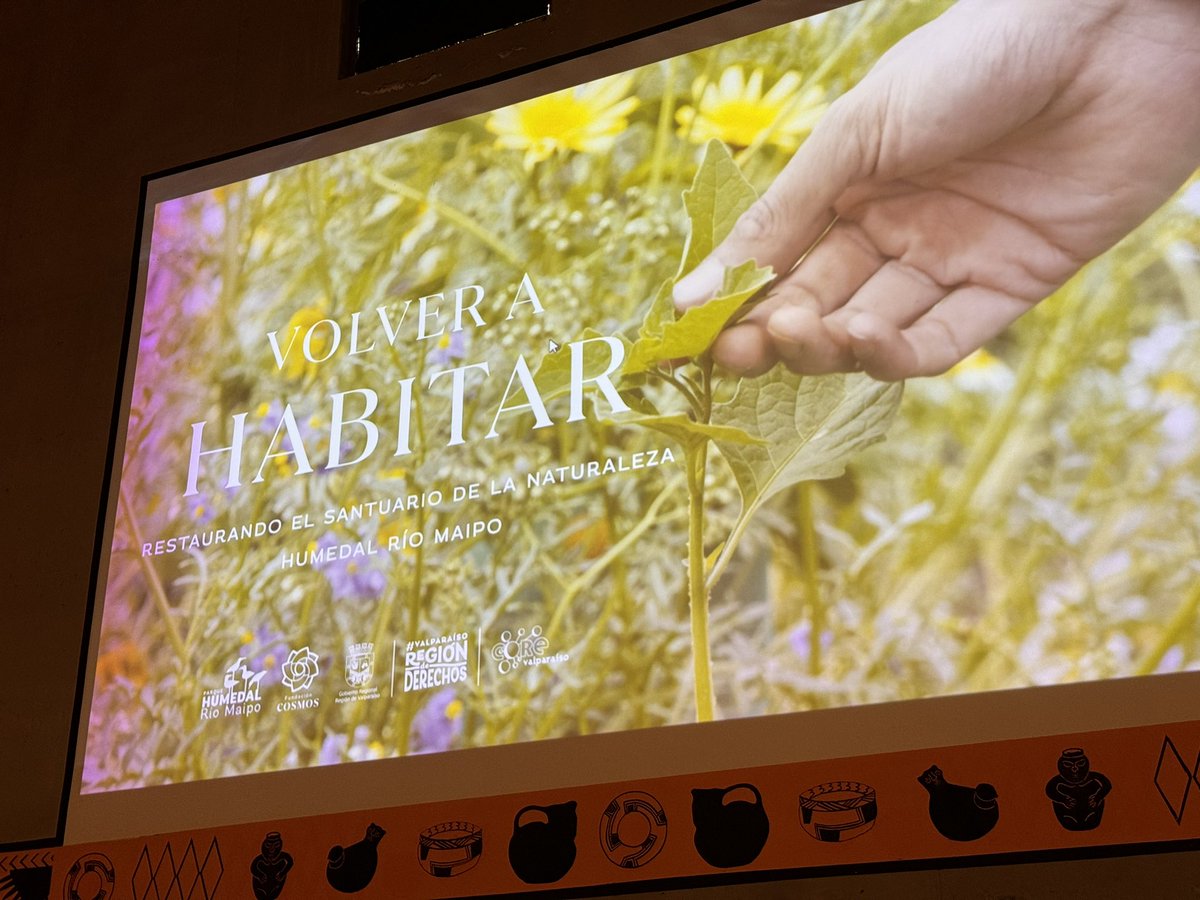 Juan Ignacio Latorre tweet media