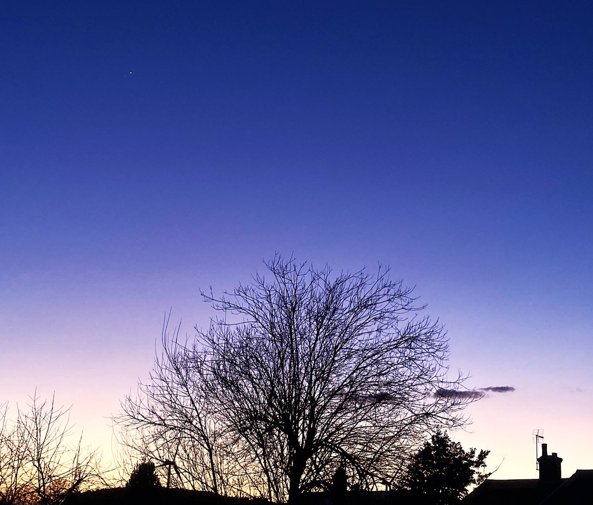 Tonight's dusk with that star showing again (I think it's Venus). Wishing you all a lovely evening and a peaceful night. 🤗🕊️✨😴🥰