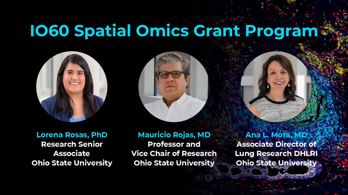 Announcing the Recipient of the IO60 Spatial Omics Grant Program

We are thrilled to announce that Lorena Rosas, PhD, Research Senior Associate, and her mentors, Drs. Mauricio Rojas and Ana L. Mora, from the Department of Internal Medicine at Ohio State University, have been
