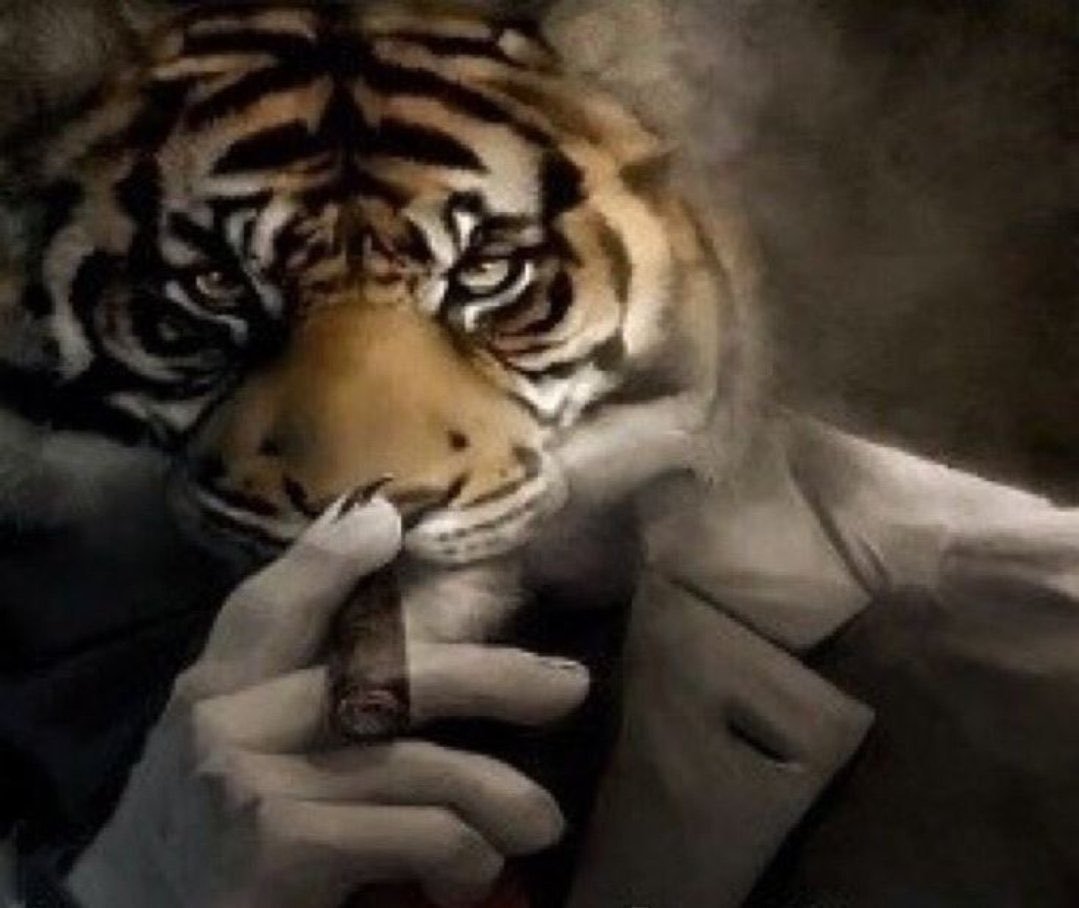 Los quiero a todos en 20 minutos en Twitch, se viene anuncio tocho y directo especial 🚬