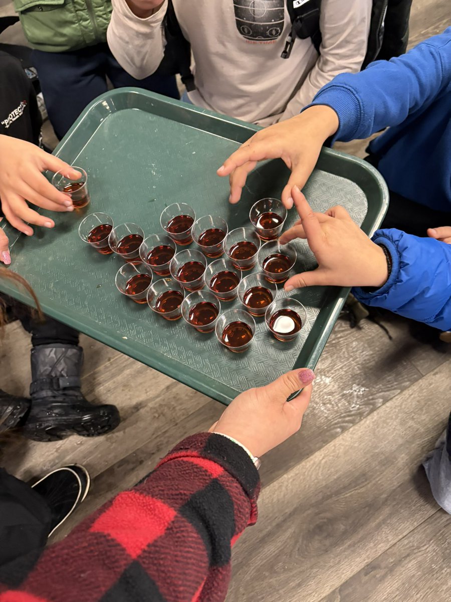 TDSB Welcoming Communities (@welcome_tdsb) on Twitter photo Part 1 - best day ever! Maple syrup festival at Bruce’s Mill. Newcomer students recently learned about the importance of maple trees in Canada. Today they learned about how maple syrup is made! <a href="/TDSB_CS/">TDSB Community Services</a> <a href="/TPPS_TDSB/">Thorncliffe Park TDSB</a> <a href="/CitImmCanada/">IRCC</a> <a href="/tdsb/">Toronto District School Board</a> #tdsbnewcomerstudents #maplesyrup Part 1 - best day ever! Maple syrup festival at Bruce’s Mill. Newcomer students recently learned about the importance of maple trees in Canada. Today they learned about how maple syrup is made! <a href="/TDSB_CS/">TDSB Community Services</a> <a href="/TPPS_TDSB/">Thorncliffe Park TDSB</a> <a href="/CitImmCanada/">IRCC</a> <a href="/tdsb/">Toronto District School Board</a> #tdsbnewcomerstudents #maplesyrup