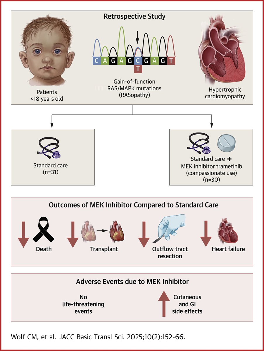 JACC Journals (@jaccjournals) on Twitter photo In this #JACCBTS retrospective cohort analysis, #MEK inhibition improved transplant-free survival and reduced surgical intervention in children with #RASopathies and severe HCM. jacc.org/doi/10.1016/j.…
#cvPed #cvHCM #ChildhoodCardiomyopathy <a href="/jpkaski/">Juan Pablo Kaski</a> <a href="/GregAndelfinger/">Gregor Andelfinger</a> In this #JACCBTS retrospective cohort analysis, #MEK inhibition improved transplant-free survival and reduced surgical intervention in children with #RASopathies and severe HCM. jacc.org/doi/10.1016/j.…
#cvPed #cvHCM #ChildhoodCardiomyopathy <a href="/jpkaski/">Juan Pablo Kaski</a> <a href="/GregAndelfinger/">Gregor Andelfinger</a>
