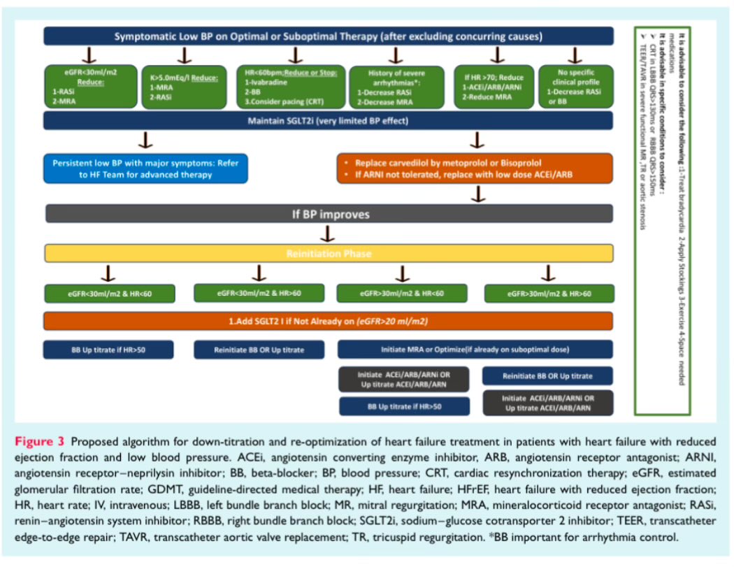 Diego Segura-Rodríguez (@seguracardio) on Twitter photo 📌Clinical management and therapeutic optimization of 👥 with #HeartFailure w/ reduced ejection fraction & low blood pressure. A clinical consensus 📝 of the #HFA of the <a href="/escardio/">European Society of Cardiology</a>
#PositionPaper #HF #HFrEF 📌Clinical management and therapeutic optimization of 👥 with #HeartFailure w/ reduced ejection fraction & low blood pressure. A clinical consensus 📝 of the #HFA of the <a href="/escardio/">European Society of Cardiology</a>
#PositionPaper #HF #HFrEF