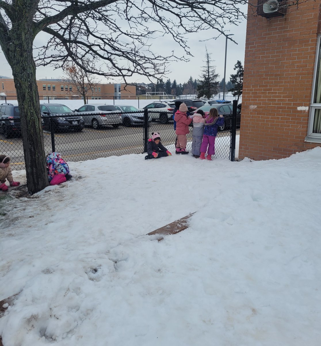 Our Lady of Mercy Catholic School DP (@olmcy) on Twitter photo Our FDK friends have had fun exploring the snow, making predictions, and observations. They had many questions about the changes they could see because of the milder temperatures. We will continue our inquiry next week so we can try to find out the answers! <a href="/dp_EarlyYears/">DP Early Years</a> Our FDK friends have had fun exploring the snow, making predictions, and observations. They had many questions about the changes they could see because of the milder temperatures. We will continue our inquiry next week so we can try to find out the answers! <a href="/dp_EarlyYears/">DP Early Years</a>