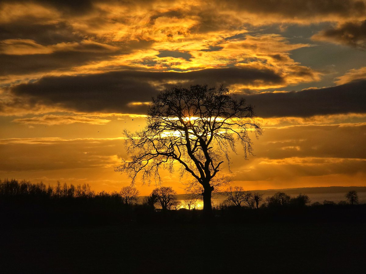 john mallon (@jmallon16) on Twitter photo Sunset this evening Lough neagh <a href="/angie_weather/">angie phillips</a> <a href="/barrabest/">Barra Best</a> <a href="/WeatherCee/">Cecilia Daly</a> <a href="/Louise_utv/">Louise Small</a> <a href="/herobelfast/">johnny hero</a> <a href="/WeatherAisling/">Aisling Creevey</a> <a href="/UTVNews/">UTV Live News</a> <a href="/alexbunting4/">alex bunting</a> @jerrylangmusic <a href="/PetraEllisMedia/">Petra Ellis</a> <a href="/SportyNeesy/">Denise Watson</a> <a href="/bbcniweather/">BBC NI Weather</a> <a href="/StormHour/">#StormHour</a> <a href="/BelfastHills/">Belfast Hills</a> <a href="/BelfastLive/">Belfast Live</a> <a href="/loughneaghpart/">Lough Neagh Partnership</a> <a href="/LoughNeaghTours/">Lough Neagh Tours</a> <a href="/LoughNeaghEels/">LoughNeaghEels</a> Sunset this evening Lough neagh <a href="/angie_weather/">angie phillips</a> <a href="/barrabest/">Barra Best</a> <a href="/WeatherCee/">Cecilia Daly</a> <a href="/Louise_utv/">Louise Small</a> <a href="/herobelfast/">johnny hero</a> <a href="/WeatherAisling/">Aisling Creevey</a> <a href="/UTVNews/">UTV Live News</a> <a href="/alexbunting4/">alex bunting</a> @jerrylangmusic <a href="/PetraEllisMedia/">Petra Ellis</a> <a href="/SportyNeesy/">Denise Watson</a> <a href="/bbcniweather/">BBC NI Weather</a> <a href="/StormHour/">#StormHour</a> <a href="/BelfastHills/">Belfast Hills</a> <a href="/BelfastLive/">Belfast Live</a> <a href="/loughneaghpart/">Lough Neagh Partnership</a> <a href="/LoughNeaghTours/">Lough Neagh Tours</a> <a href="/LoughNeaghEels/">LoughNeaghEels</a>