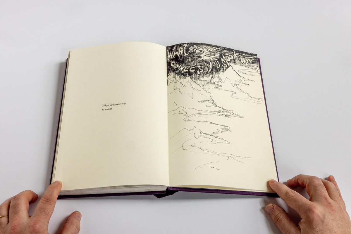 Lost & Found tweet media