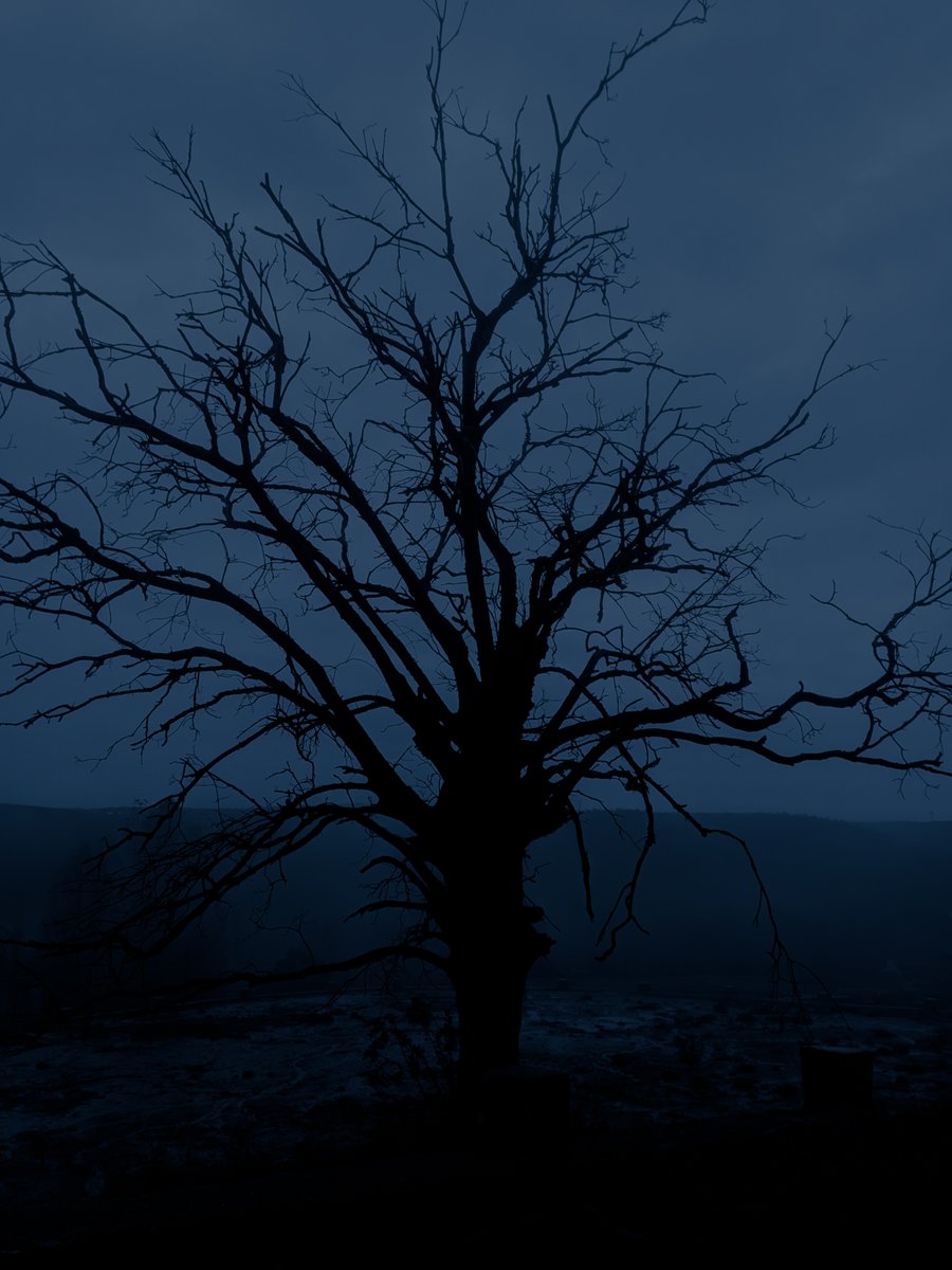 Umut (@dmtiltriptamin) on Twitter photo 