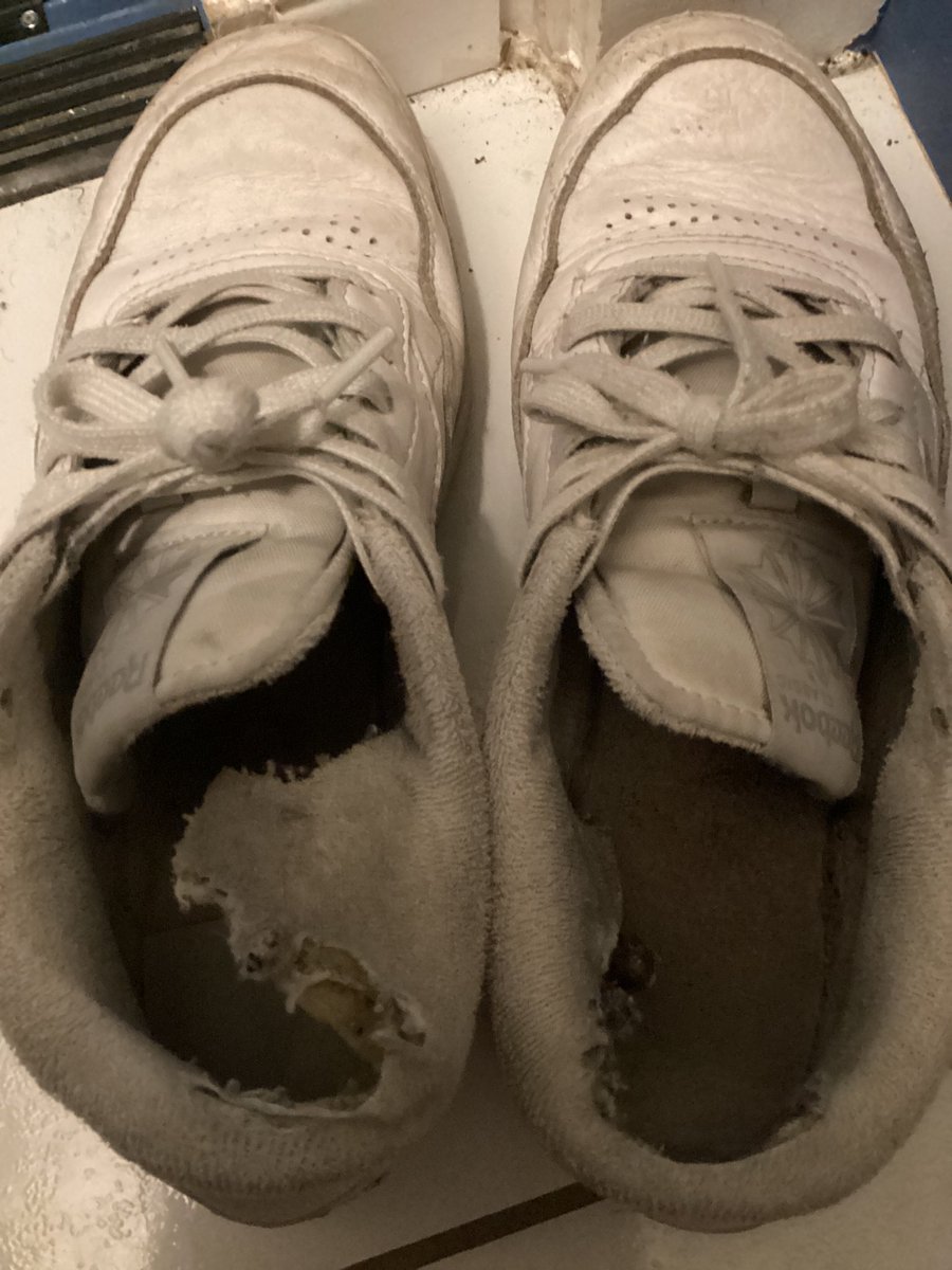 road2bort's tweet photo. #domme #pig #sub #loser #feet #shoes #dom #shoes 
Who wants a pair of my gym shoes? Goes to the highest bidder https://t.co/7wAOGJ6gUG