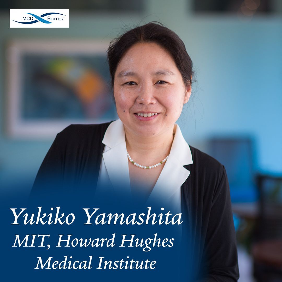 MIT Professor &amp;  Howard Hughes Medical Institute Investigator Yukiko Yamashita comes to Yale to deliver her talk, "Germline immortality and speciation"

Wednesday, March 5, 2025
BASS 305 | 3:30pm

The MCDB Seminar Series is sponsored by the Mrs. Hepsa Ely Silliman Memorial Fund