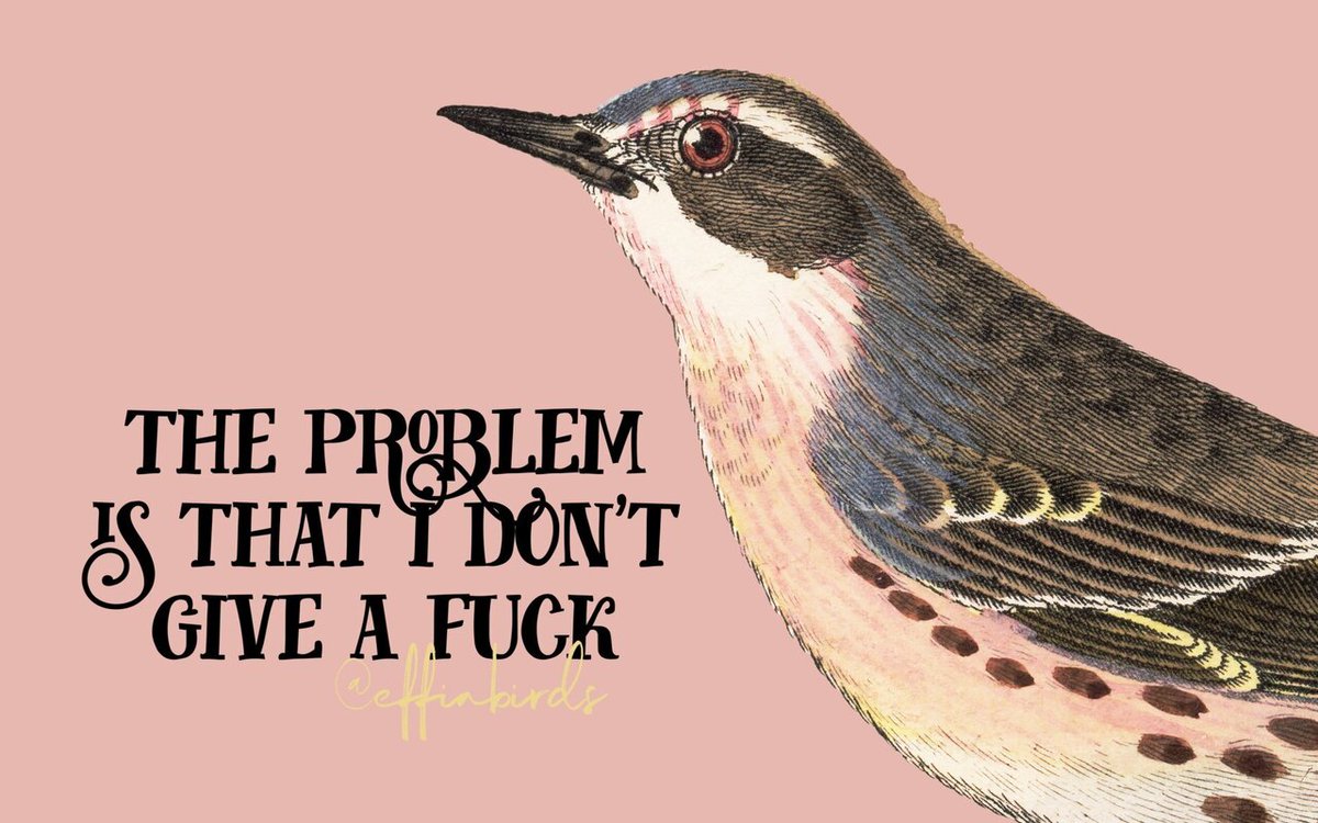 EffinBirds's tweet photo. https://t.co/LGbAtQJT6d