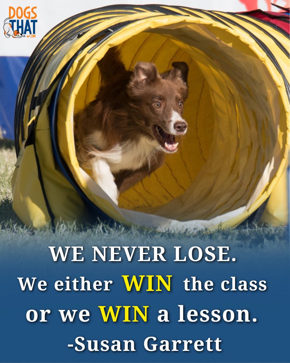 susangarrett's tweet photo. We never lose. We either win the class or we win a lesson. - Susan Garrett #DogTraining #AgilityTraining #SusanGarrett #WeNeverLose #DogSports #AgilityDogs #KeepTraining https://t.co/phgnAC2UUs