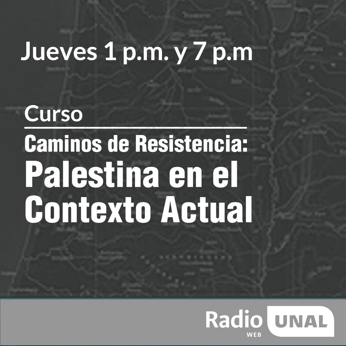 Este curso busca fomentar un diálogo crítico y consciente sobre los desafíos que enfrenta Palestina, promoviendo la comprensión y la empatía hacia una de las luchas más complejas del mundo contemporáneo.
Escúchalo en nuestra página Web radio.unal.edu.co