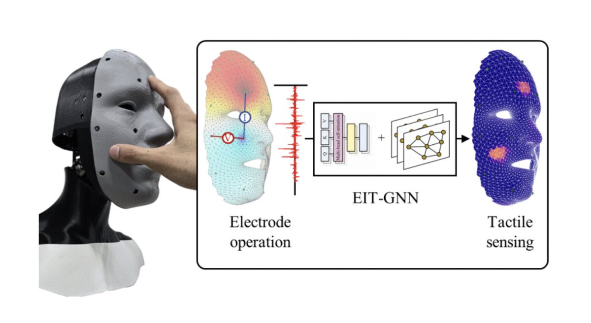 IeeeTro's tweet image. Researchers at @KAIST_me introduce a graph-structured super-resolution framework for large-area tomographic #tactilesensing. On a #humanoid face, the system enables natural human-robot interaction while adapting to various sensor shapes. #HRI
ieeexplore.ieee.org/document/10770…