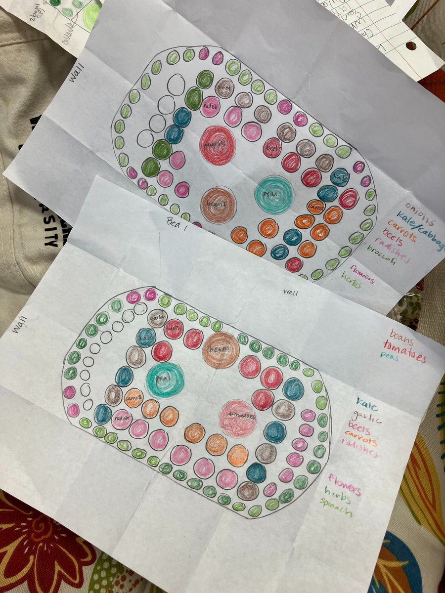 RootEdNC's tweet image. Etowah Elementary students are studying seed viability and testing various conditions for starting seeds in their school's brand-new vegetable garden. We're ready for this salad NOW, but we can be patient. ⏳🥕🫑