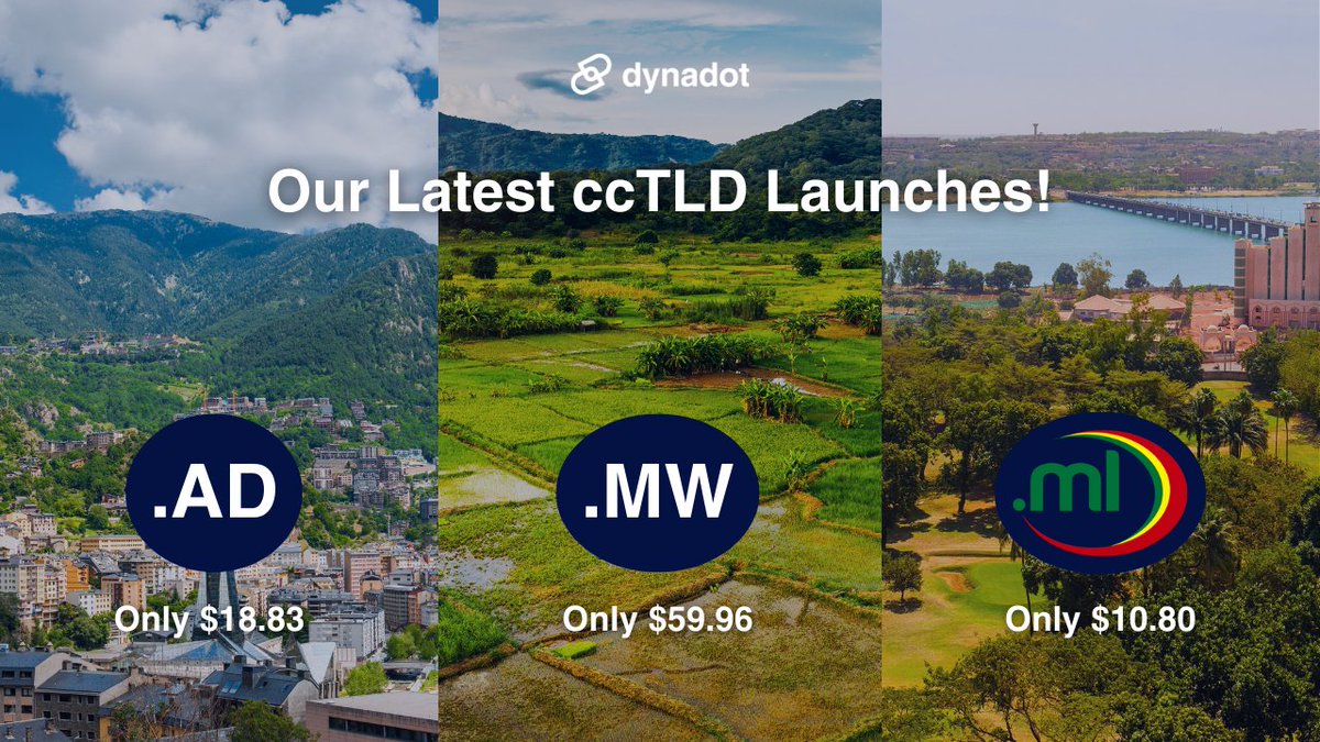 Dynadot 🦾 tweet media