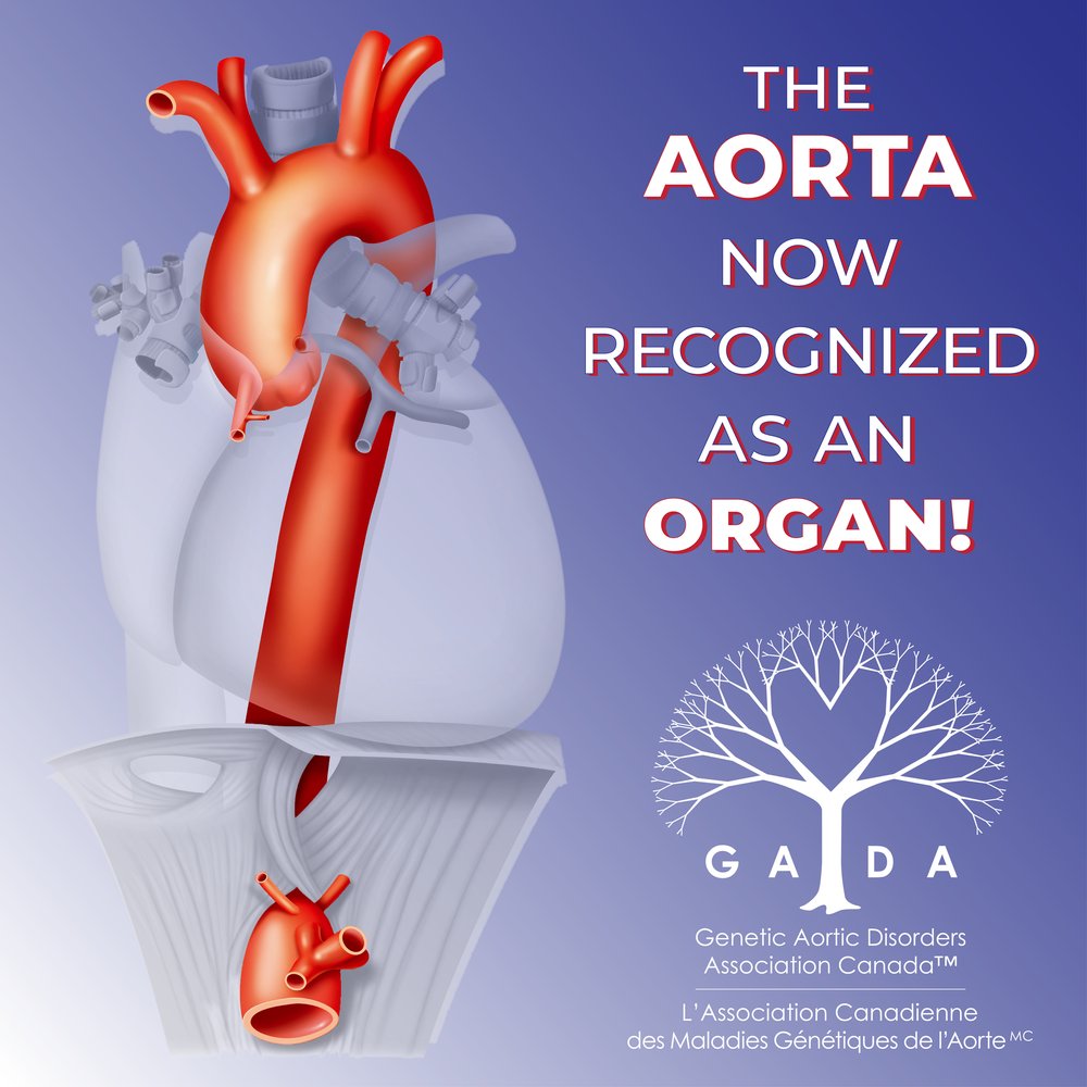 GADACanada (@aorticdisorders) on Twitter photo Feb 28th marks the anniversary of the aorta being officially recognized as an organ! This monumental decision highlights the incredible complexity of our bodies and advances in medical understanding. Learn more here: gadacanada.ca/news/2024/3/12… #RareDiseaseDay Feb 28th marks the anniversary of the aorta being officially recognized as an organ! This monumental decision highlights the incredible complexity of our bodies and advances in medical understanding. Learn more here: gadacanada.ca/news/2024/3/12… #RareDiseaseDay