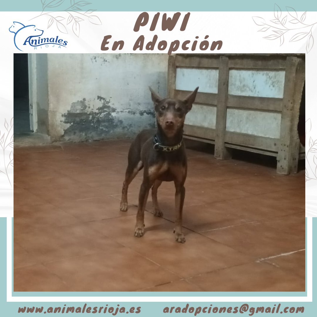 ANIMALES RIOJA - ESPAÑA tweet media