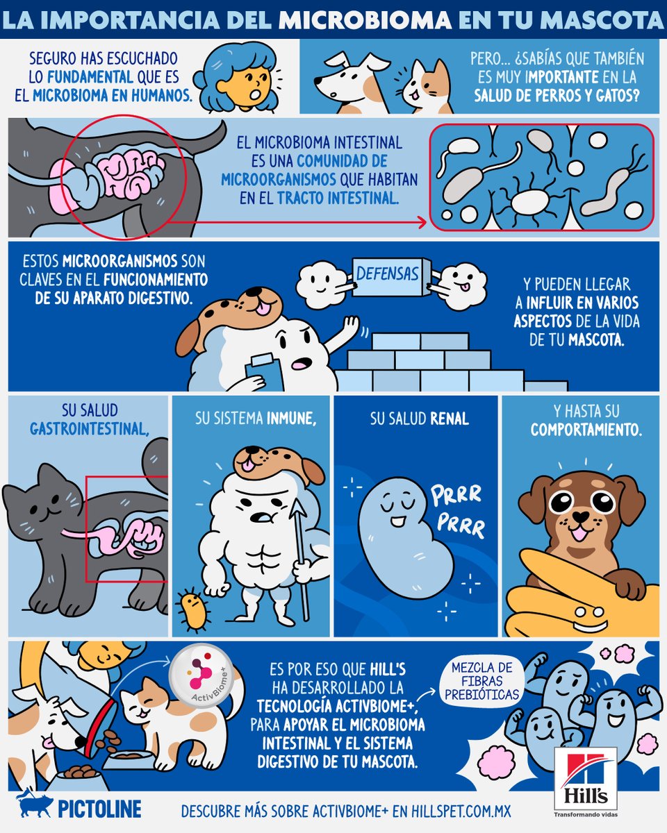 pictoline's tweet image. 🐶 ¡Tu mascota también necesita una pancita feliz! 😺 Un microbioma sano es clave para su bienestar 🐾💫

#MicrobiomaMascotas #MicrobiotaAnimal #SaludDigestivaMascotas #Michis #Perros #Pictoline