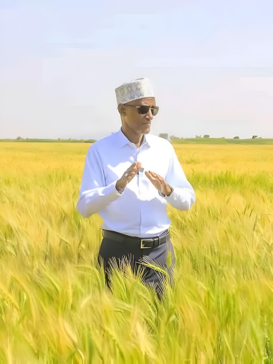 የአፋር ክልል ርዕሰ መስተዳድር ሃጂ አወል አርባ በአፋር ምርጥ ዘር ኢንተርፕራይዝ በዱብቲ በመልማት ላይ የሚገኝ የስንዴ እርሻ ልማት ጎብኝተዋል።