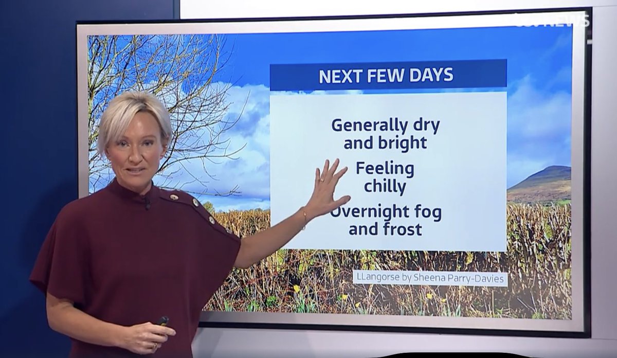 Sheena Parry-Davies tweet media