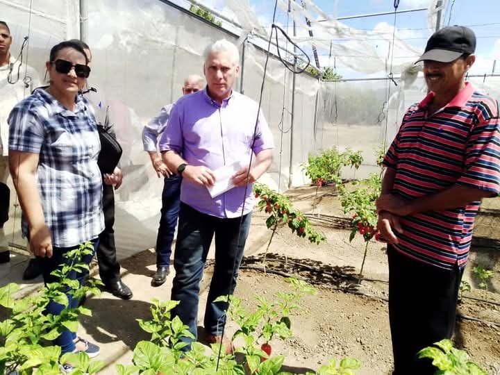 lademajagua's tweet image. El presidente de #Cuba, 
@DiazCanelB acompañado por el Secretario de Organización del Comité Central del Partido 
@DrRobertoMOjeda
 visita hoy  #Pilón, como parte de los recorridos por los municipios del país. 
#ProvinciaGranma 
#Cuba 
📸Annerys Fonseca