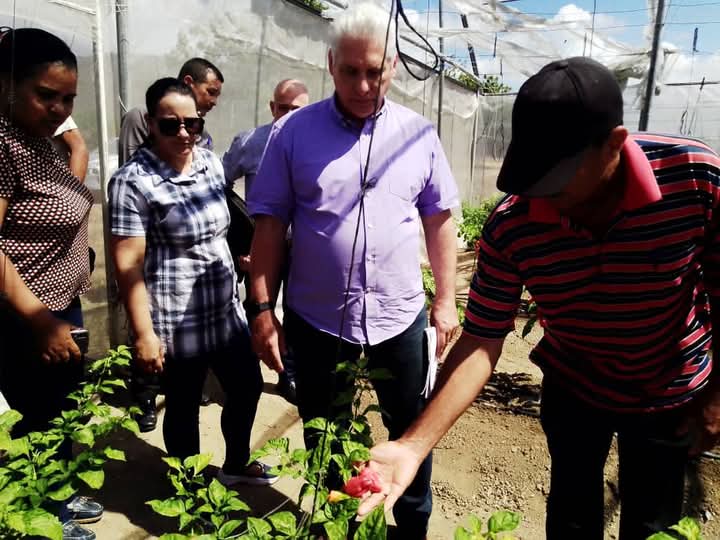 lademajagua's tweet image. El presidente de #Cuba, 
@DiazCanelB acompañado por el Secretario de Organización del Comité Central del Partido 
@DrRobertoMOjeda
 visita hoy  #Pilón, como parte de los recorridos por los municipios del país. 
#ProvinciaGranma 
#Cuba 
📸Annerys Fonseca