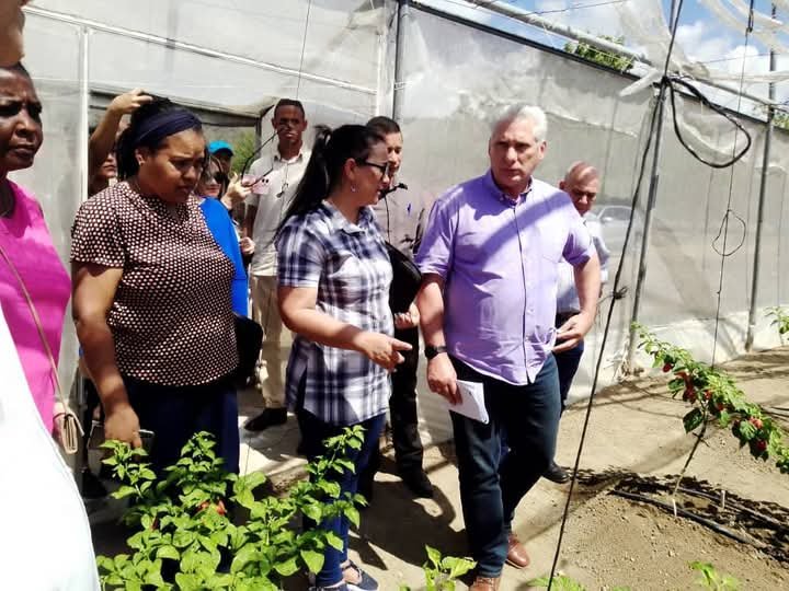 lademajagua's tweet image. Visita Presidente cubano 
@DiazCanelB
 municipio de #Pilón en #ProvinciaGranma. En la comunidad La Pesquera se interesó por el Módulo de cultivo protegido. 
Desde este lugar se exporta la especie ají chile Habanero.
@YudelkisOrtizB
 
@YanetsyTerry

#ProvinciaGranma