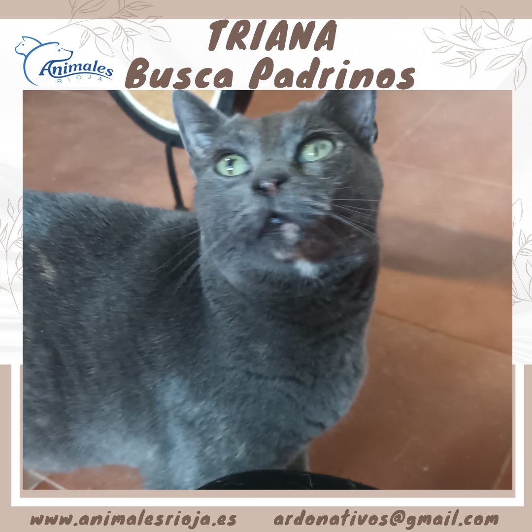 ANIMALES RIOJA - ESPAÑA tweet media