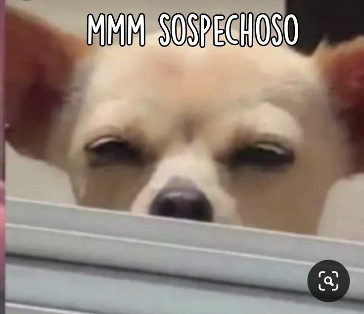 Cuando veo quien mira mi perfil de tik tok