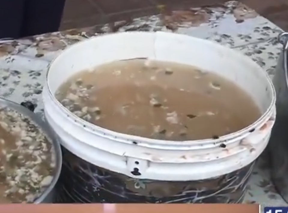 Hola ministro <a href="/tadeorojasm/">Miguel Tadeo Rojas Meza</a>, si a vos se te sirve en los mejores platos y la mejor comida 

¿Por qué los niños tienen que comer esta cosa “incomible” desde un balde usado?