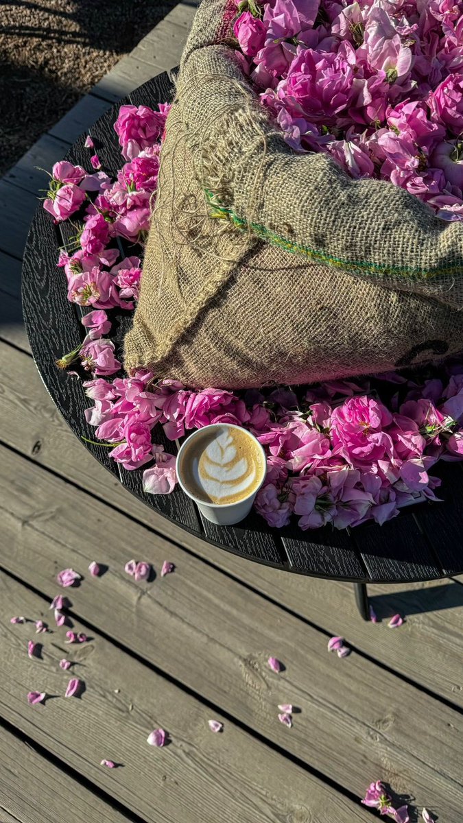 #قريباً 

الملتقى العالمي الأول للورد والنباتات العطرية

<a href="/SNSA80/">سعود بن نهار بن سعود بن عبدالعزيز</a> 
<a href="/aromaitc_taif/">الملتقى العالمي للورد والنباتات العطرية</a> 

 search.app/RcEpMo9YFCiVNi…