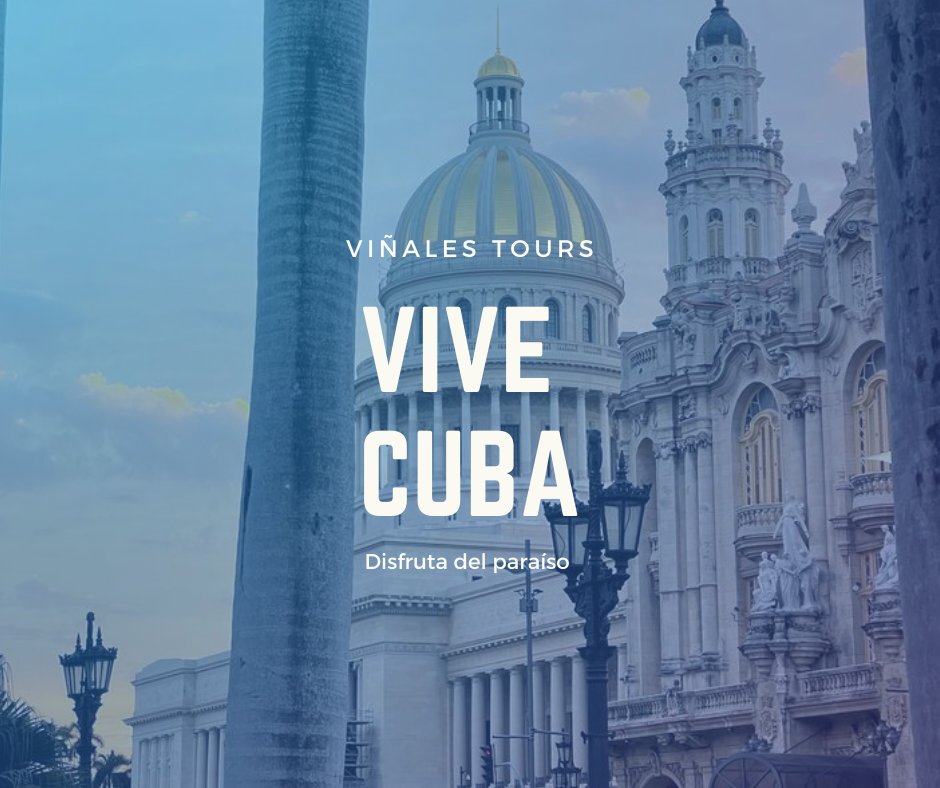Vinales_Tours's tweet photo. 🇨🇺 ¡VIVE CUBA! 🇨🇺  Siente el ritmo de sus calles, déjate envolver por su historia y descubre la magia de un paraíso que te espera.  En Viñales Tours, hacemos tus sueños realidad.  ¡Contáctanos y comencemos a planificar tu aventura! ✨ #ViveCuba #ViñalesTours #CubaTravel #Viajes https://t.co/O2AOFbwjm4