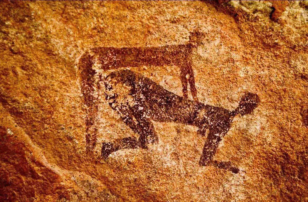 4gottnHistory's tweet image. What do we have here? 

The cave paintings of Tassili n’Ajjer, Algeria, dating back 7,000+ years, 

History carved in stone! 🏜️ #Archaeology #AncientArt #History