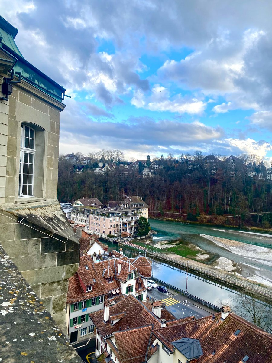💡 Key takeaway: Swiss bowel bladder care focuses on urination techniques &amp; constipation prevention rather than self-catheterization.

Ended the day with a Bern city tour—so much history here! One more day to go!