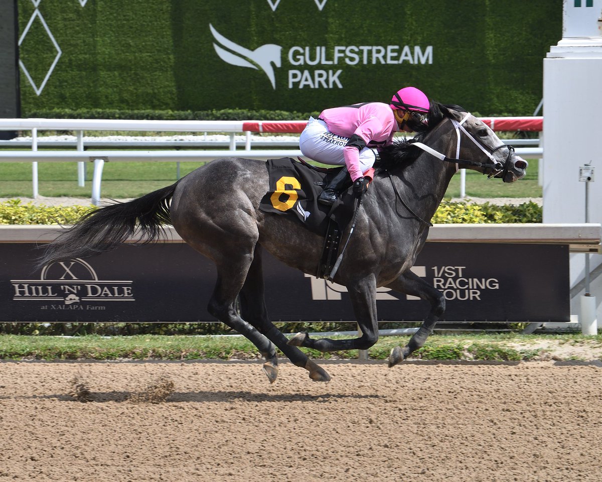 Gulfstream Park tweet media