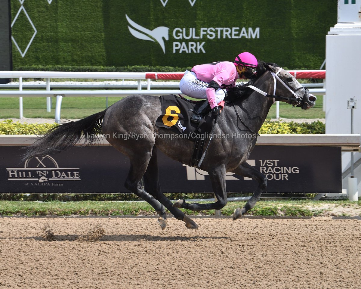 VideoHipico tweet media