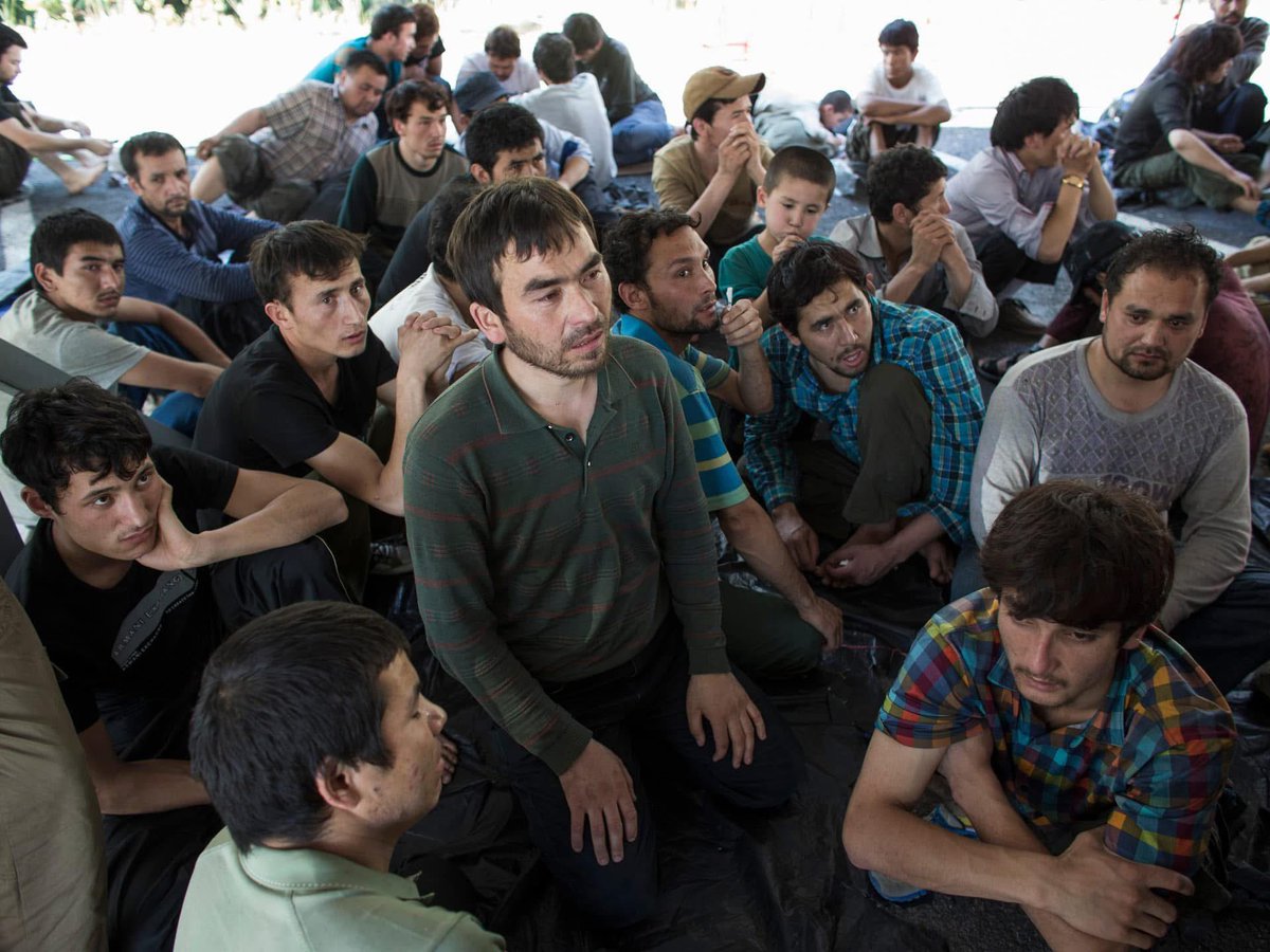 هذا اليوم عصيب بالنسبة لنا كالتركستانين 
والله إن عملية ترحيل هؤلاء الأخوة إلى المذبحة الصينية أبكت جميع التركستانيين. 
هربوا من ويلات الإبادة الجماعية ل #الصين الشيوعية في #تركستان_الشرقية،عاشوا في السجون التايلاندية أحد عشر عاما، والآن تم ترحيلهم إلى المسلخة الشيوعية الفاشية.