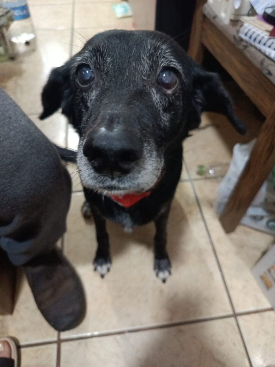 as laycee, so gaycee tweet media