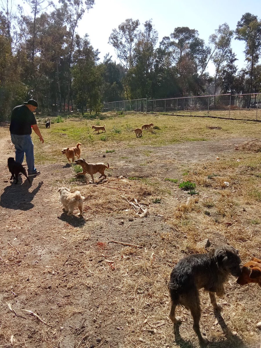 Programa de Voluntarios + esparcimiento = felicidad !!! 
#brigadadevigilanciaanimal 💚