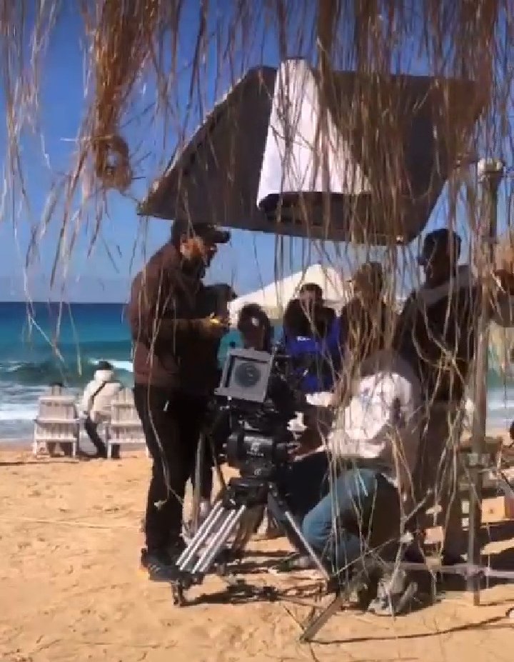 حبه ساحل. 🌊