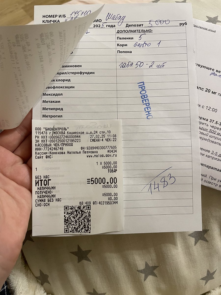 ягодка-кринжовник tweet media