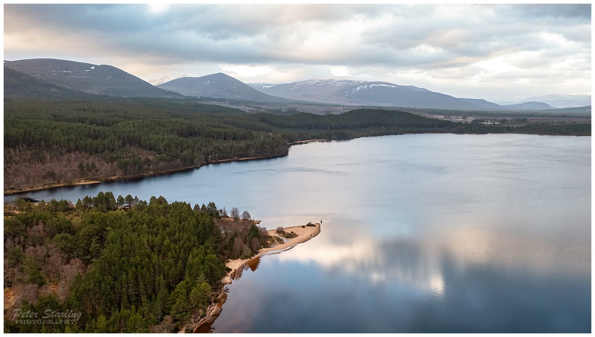 Peter__Starling's tweet photo. Some beautiful chilly mornings, endless trees and partly frozen lochs in the Cairngorms... https://t.co/5yiJ8fqw6v
