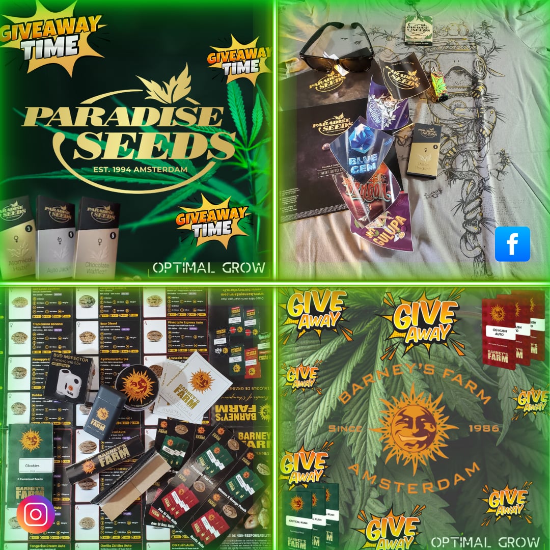 Optimal Grow tweet media