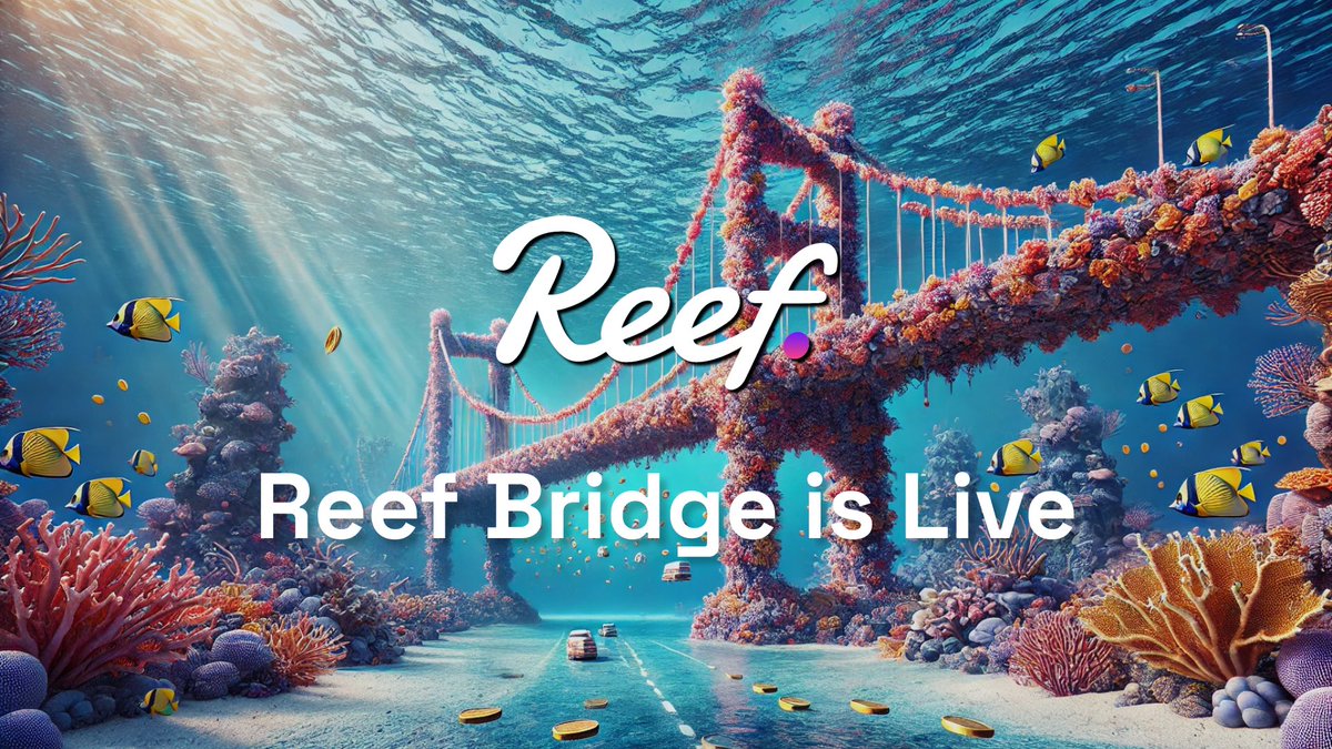 Reef_Chain's tweet image. Introducing Reef Bridge: Seamlessly Bring Your $REEF to Reef Chain!

A major milestone for the Reef ecosystem – Reef Bridge is now LIVE at reefbridge.app! 🎉